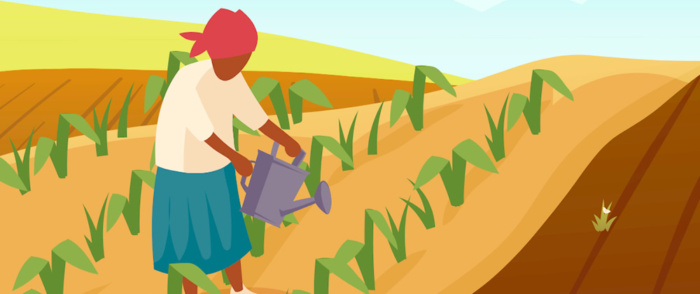 The Weight of Soil