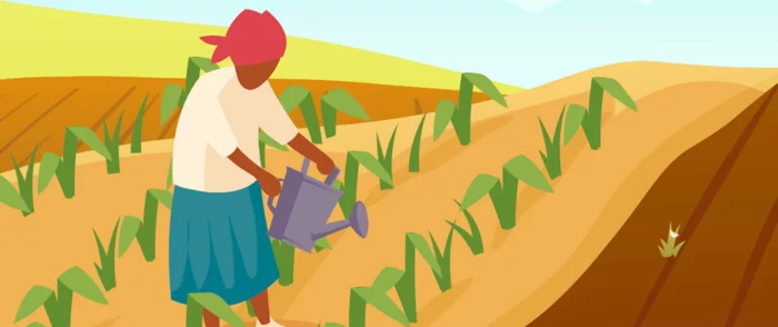 The Weight of Soil